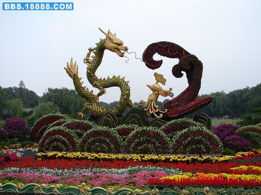 DSC02212_缩小大小.JPG
