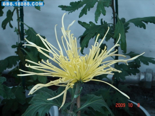 DSC02124_缩小大小.JPG
