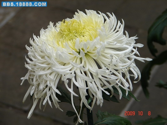 DSC02172_缩小大小.JPG