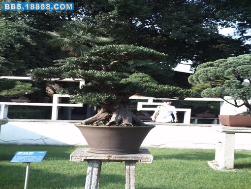 PICT0717.jpg