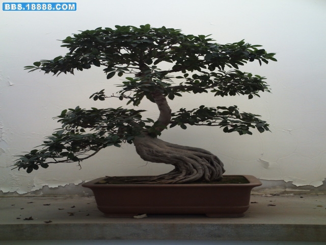 PICT0725.jpg