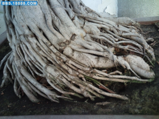 PICT0730.jpg