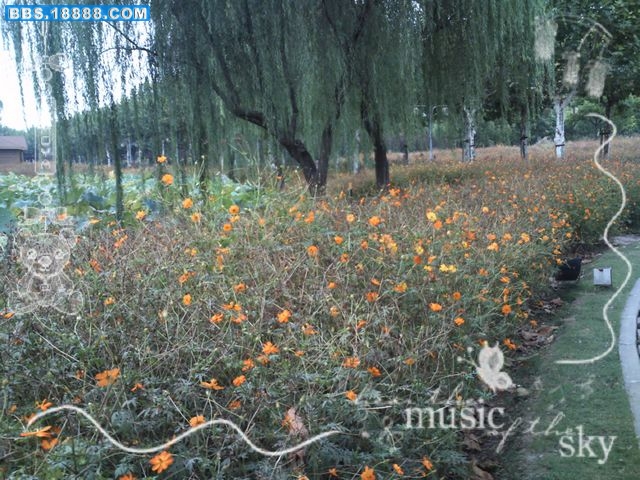 照片 134.jpg