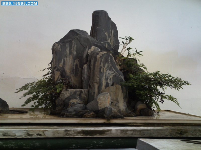 PICT0738.jpg