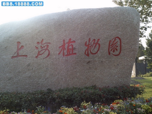 PICT0745.jpg