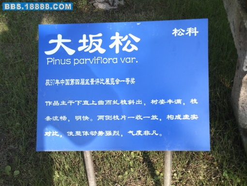 PICT0714.jpg