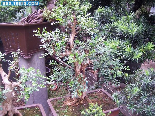 100_2292.JPG