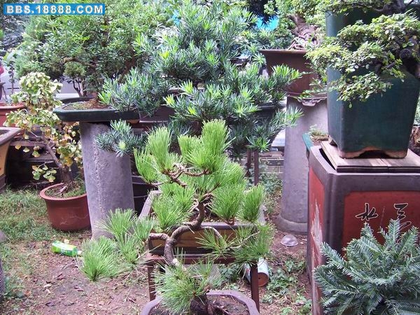 100_2297.JPG