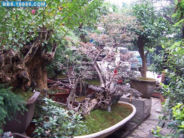 100_2307.JPG