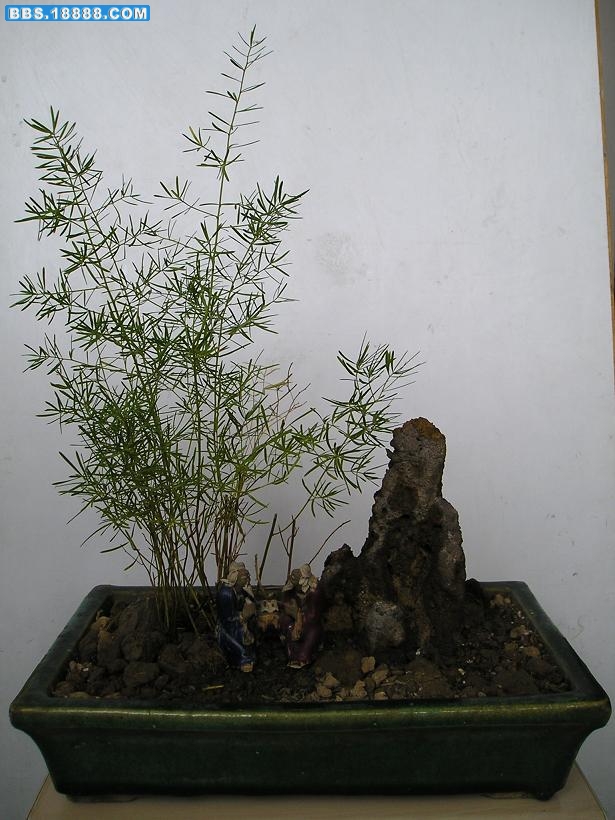 复件 P1010637.JPG