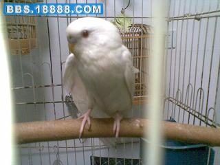 20091016(027).JPG