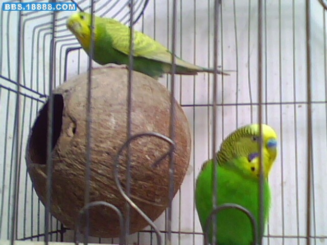 IMG0173A.jpg