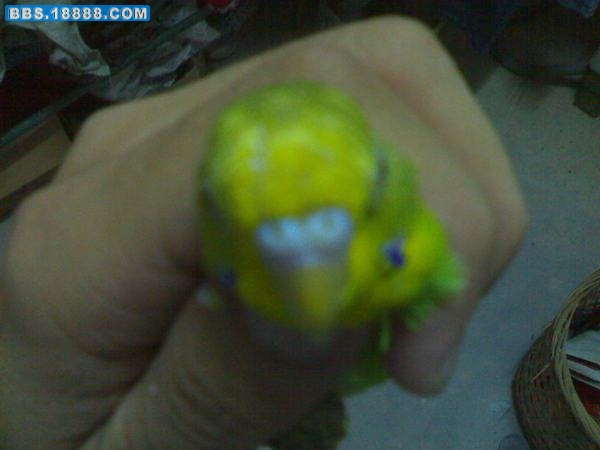 20091024012.jpg