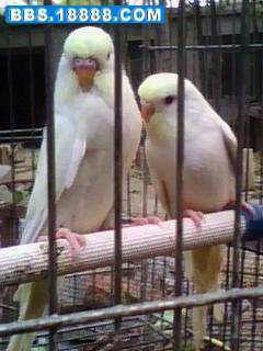 1022_1714_03.jpg
