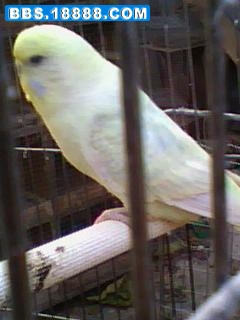1013_1707_01.jpg