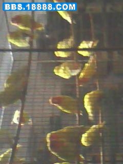 1013_1708.jpg