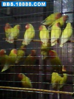 1022_1725.jpg