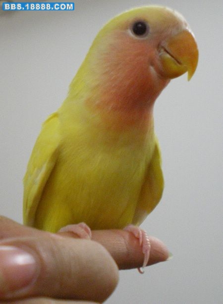 IMGP5046.JPG