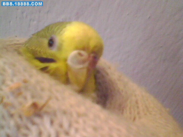 IMG0213A.jpg