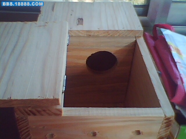 IMG0179A.jpg