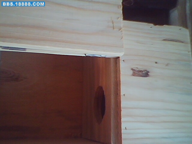 IMG0181A.jpg
