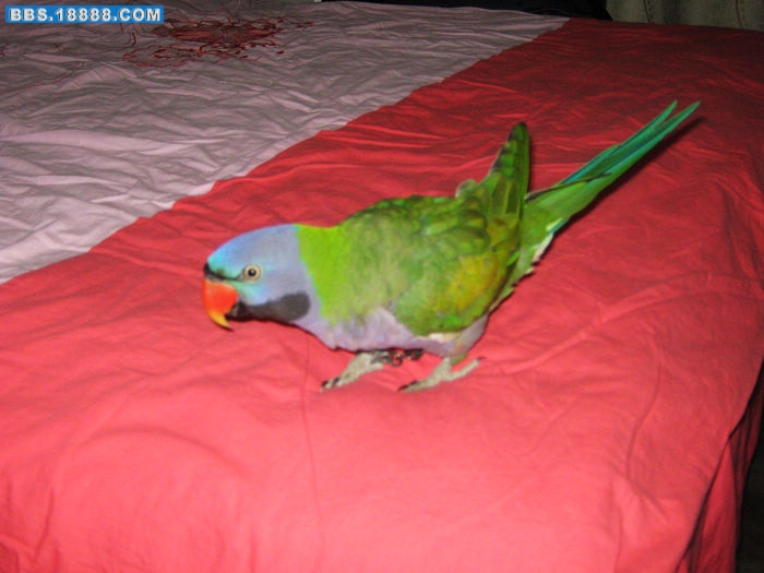 nEO_IMG_IMG_0356.jpg