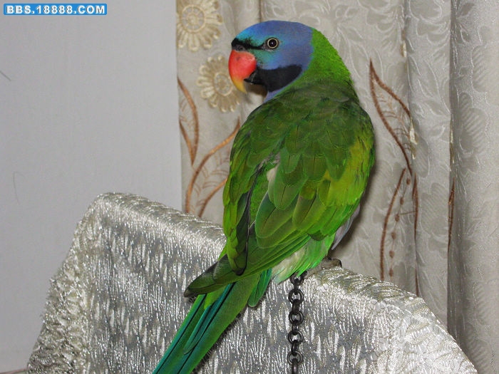nEO_IMG_IMG_0349.jpg