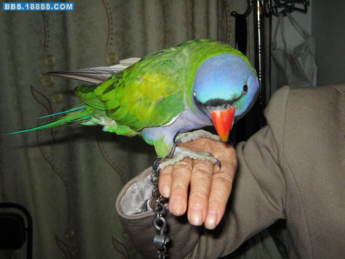 nEO_IMG_IMG_0358.jpg