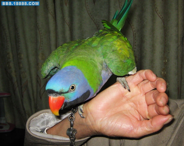nEO_IMG_IMG_0359.jpg