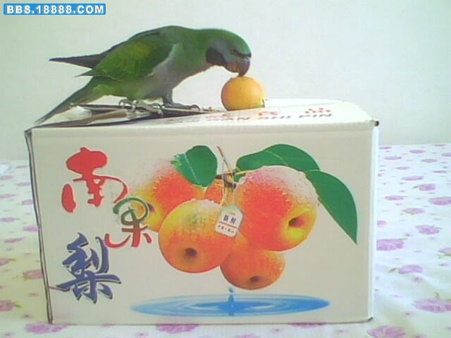 IMG2690A.jpg