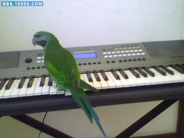 IMG2828A.jpg