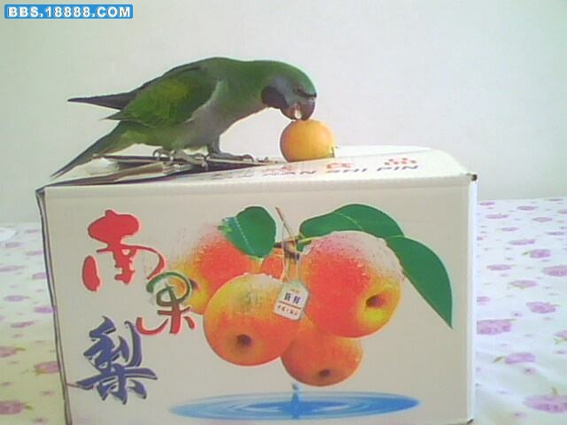 IMG2691A.jpg