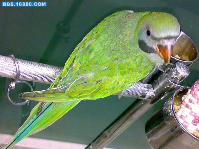 20090701331.jpg