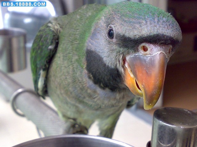 20090628330.jpg