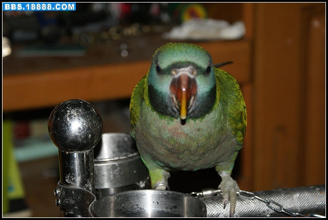 nEO_IMG_DSC05283.jpg