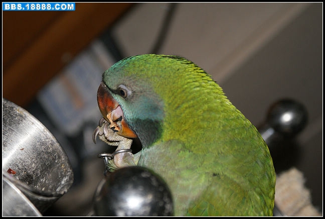 nEO_IMG_DSC05293.jpg