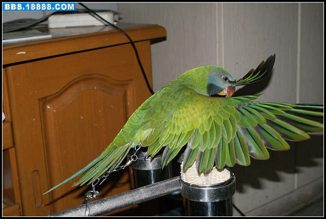 nEO_IMG_DSC05274.jpg