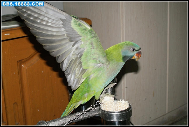 nEO_IMG_DSC05275.jpg