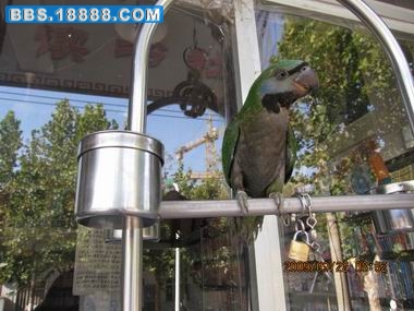 IMG_0383.jpg