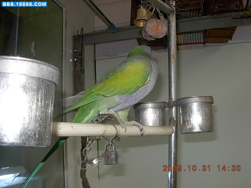 DSCN3125.JPG