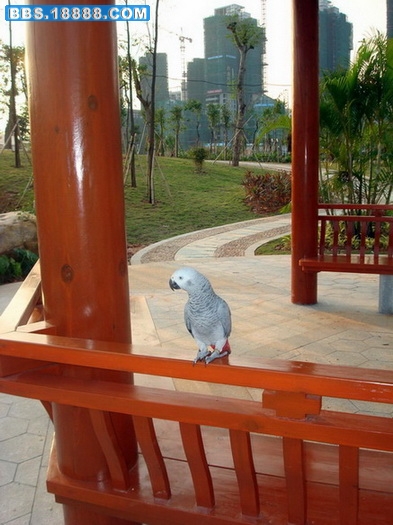 DSC03015.JPG