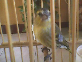 IMG1068A.jpg