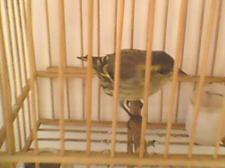 IMG1073A.jpg
