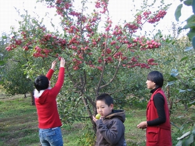 照片鸟 136.jpg