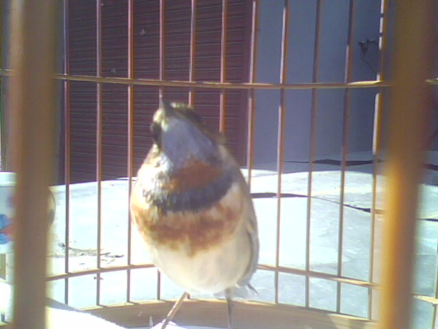 IMG1454A.jpg