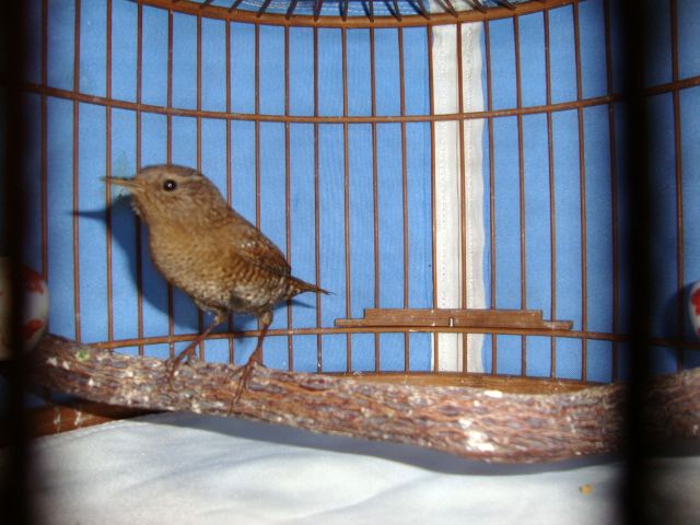 DSC00868.jpg
