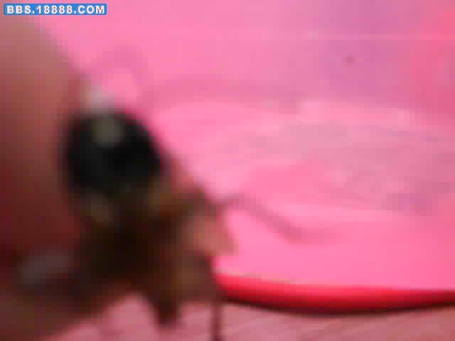 照片0870.jpg