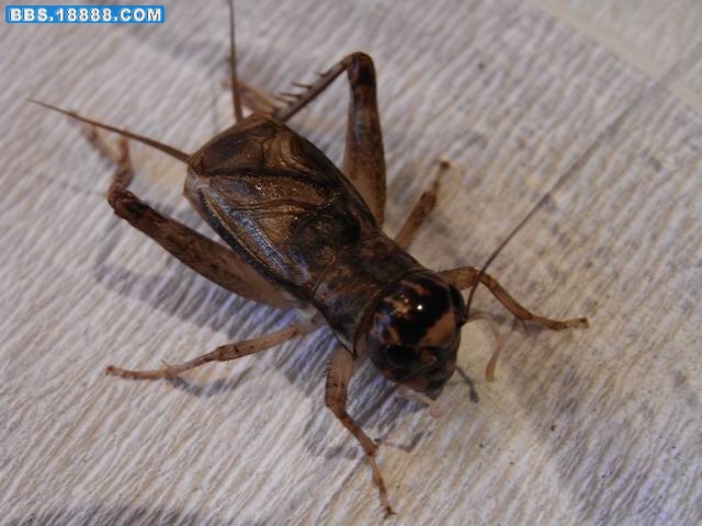 调整大小 R0012534.jpg