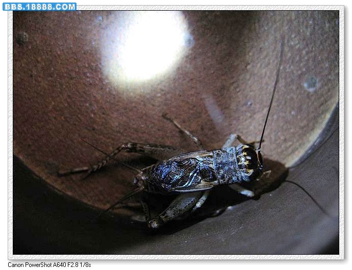nEO_IMG_照片 041.jpg