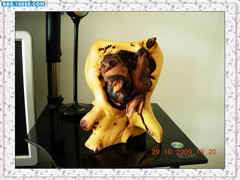 DSCN3987.jpg